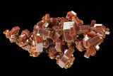 Red & Brown Vanadinite Crystal Cluster - Morocco #133728-1
